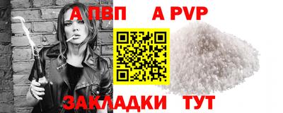 шишки Аргун
