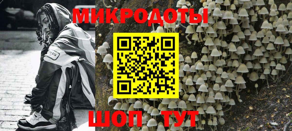 Белебей  Галлюциногенные грибы Cubensis  Вход с VPN  Галлюциногенные грибы GOLDEN TEACHER 